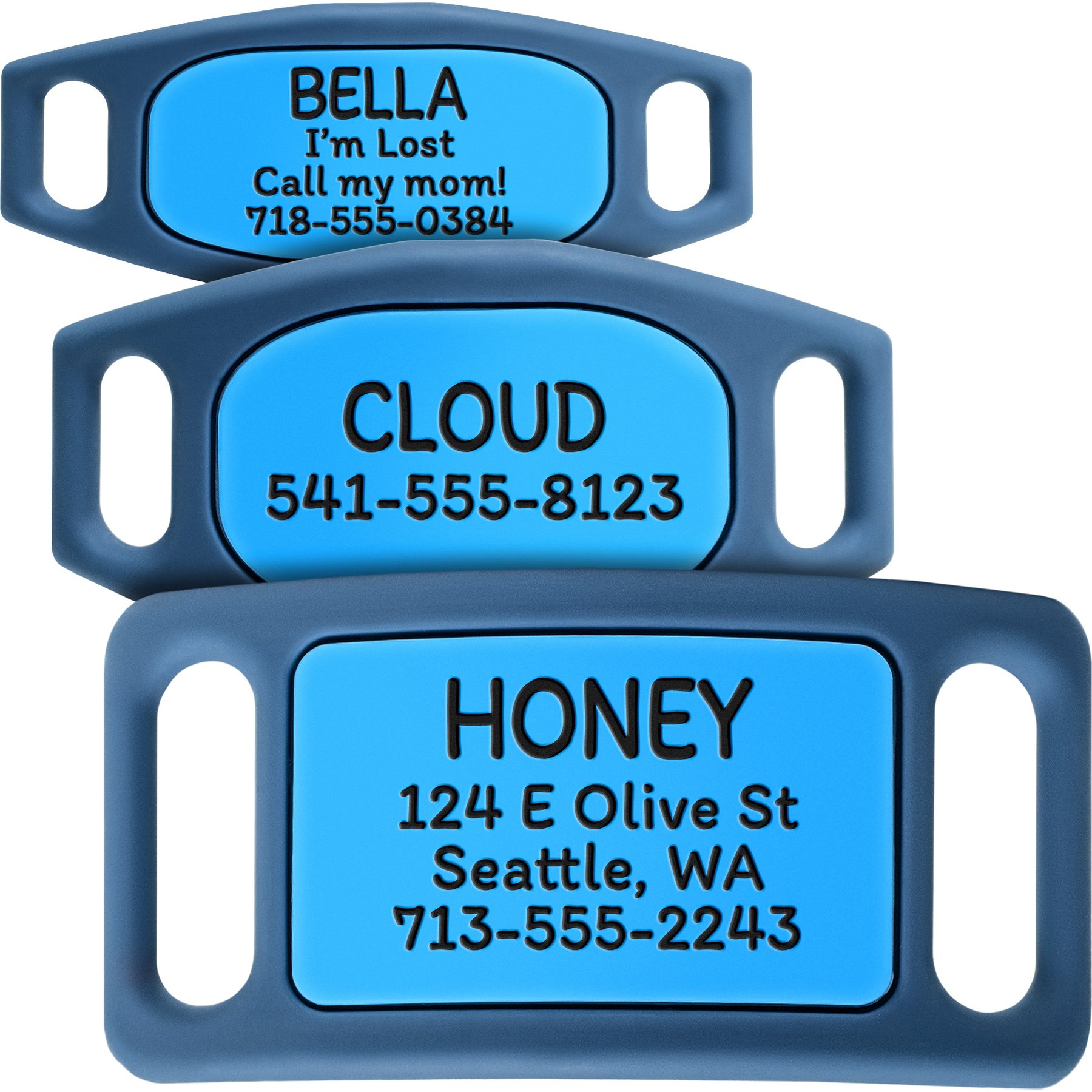 GoTags Personalized Engraved Silicone Slide On No Noise Dog & Cat ID Tag, Cyan, Medium