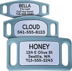 GoTags Personalized Engraved Silicone Slide On No Noise Dog & Cat ID Tag, Sky Blue, Large
