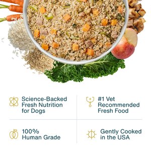 JustFoodForDogs Pantry Fresh Chicken & White Rice Fresh Dog Food, 12.5-oz pouch, case of 12