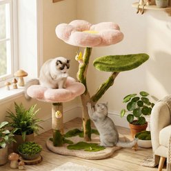 Happy & Polly Whimsical Cloud & Moss Forest 40-in Fleece Plush Cat Tree & Condo slide 1 of 9