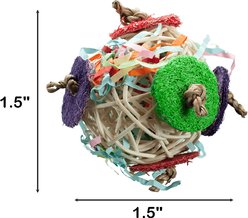 Nibbles by A&E Cage Company Circle Chaser Small Pet Toy, Multicolor slide 2 of 3