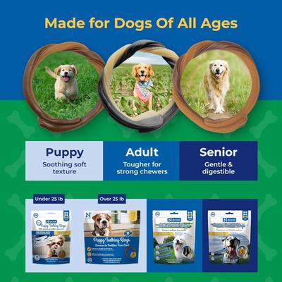Show full view: N-Bone Puppy Teething Rings Peanut Butter Flavor Dental Dog Treats, 6 count slide 8 of 12