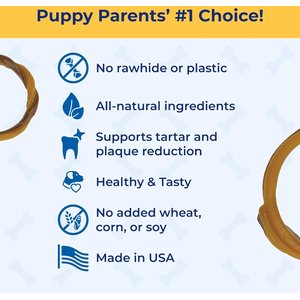 N-Bone Puppy Teething Ring Chicken Flavor Dental Dog Treats, 6 count