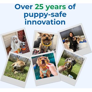 N-Bone Puppy Teething Ring Chicken Flavor Dental Dog Treats, 6 count