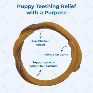 N-Bone Puppy Teething Ring Chicken Flavor Dental Dog Treats, 6 count