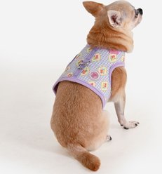 Pinkaholic New York Trixie Jacket Stylish Flower Pattern No-Pull Dog Harness, Violet, Small: 10.9-in chest slide 2 of 4