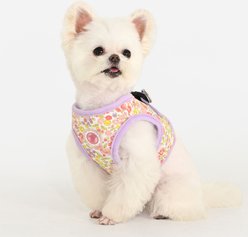 Pinkaholic New York Ione Stylish Flower Pattern Step-In No-Pull Dog Harness, Violet, Medium: 14-in chest slide 2 of 5