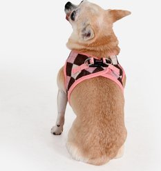 Pinkaholic New York Solene Stylish Argyle Pattern Step-In No-Pull Dog Harness, Indian Pink, Small: 12-in chest slide 2 of 5