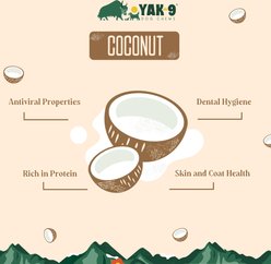 Yak9 Chews Coconut Yak Chew Dog Treat, Large, 4 count slide 2 of 9