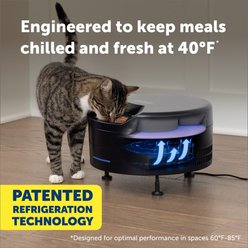 PetSafe FreshFeed Refrigerated Dog & Cat Feeder, Black slide 2 of 9