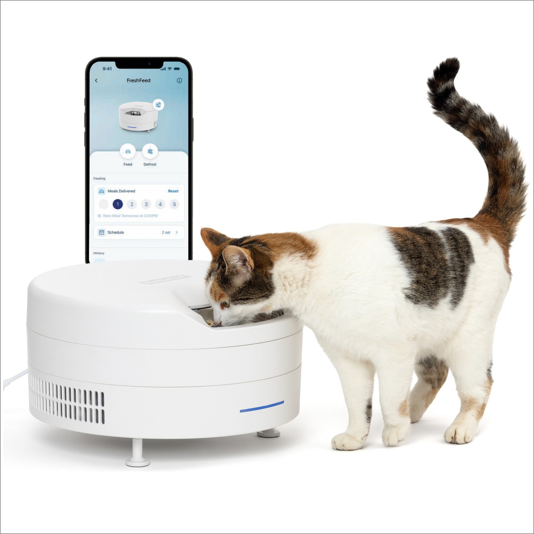 PetSafe FreshFeed Refrigerated Dog & Cat Feeder, White