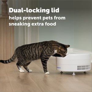 PetSafe FreshFeed Refrigerated Dog & Cat Feeder, White