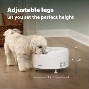 PetSafe FreshFeed Refrigerated Dog & Cat Feeder, White