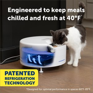 PetSafe FreshFeed Refrigerated Dog & Cat Feeder, White