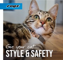 Rogz Urbancat Safety Breakaway Cat Collar, Pink Blush, Small: 8 to 12-in neck, 3/8-in wide slide 2 of 6