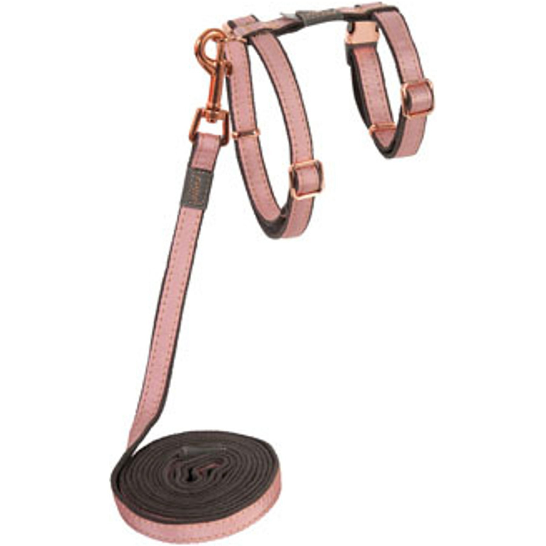 Rogz Urbancat Control Cat Harness & Lead, Small: 6-ft long, 3/8-in wide, Pink Blush
