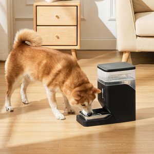 ZOMISIA Automatic 100% BPA Free Dog Water Dispenser with Stainless Steel Bowl, Black, 8-l