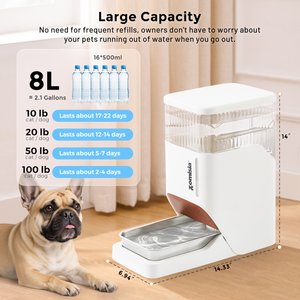 ZOMISIA Automatic 100% BPA Free Dog Water Dispenser with Stainless Steel Bowl, Black, 8-l