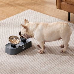 ZOMISIA Raised Cat Food & Water Bowls, Black, 10.6-oz, 2 count slide 2 of 8
