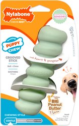 Nylabone Teething Stick Puppy Chew Toy, Green
