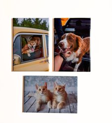 For Keeps 2x3 Custom Photo Magnets, 3 Pack slide 2 of 4