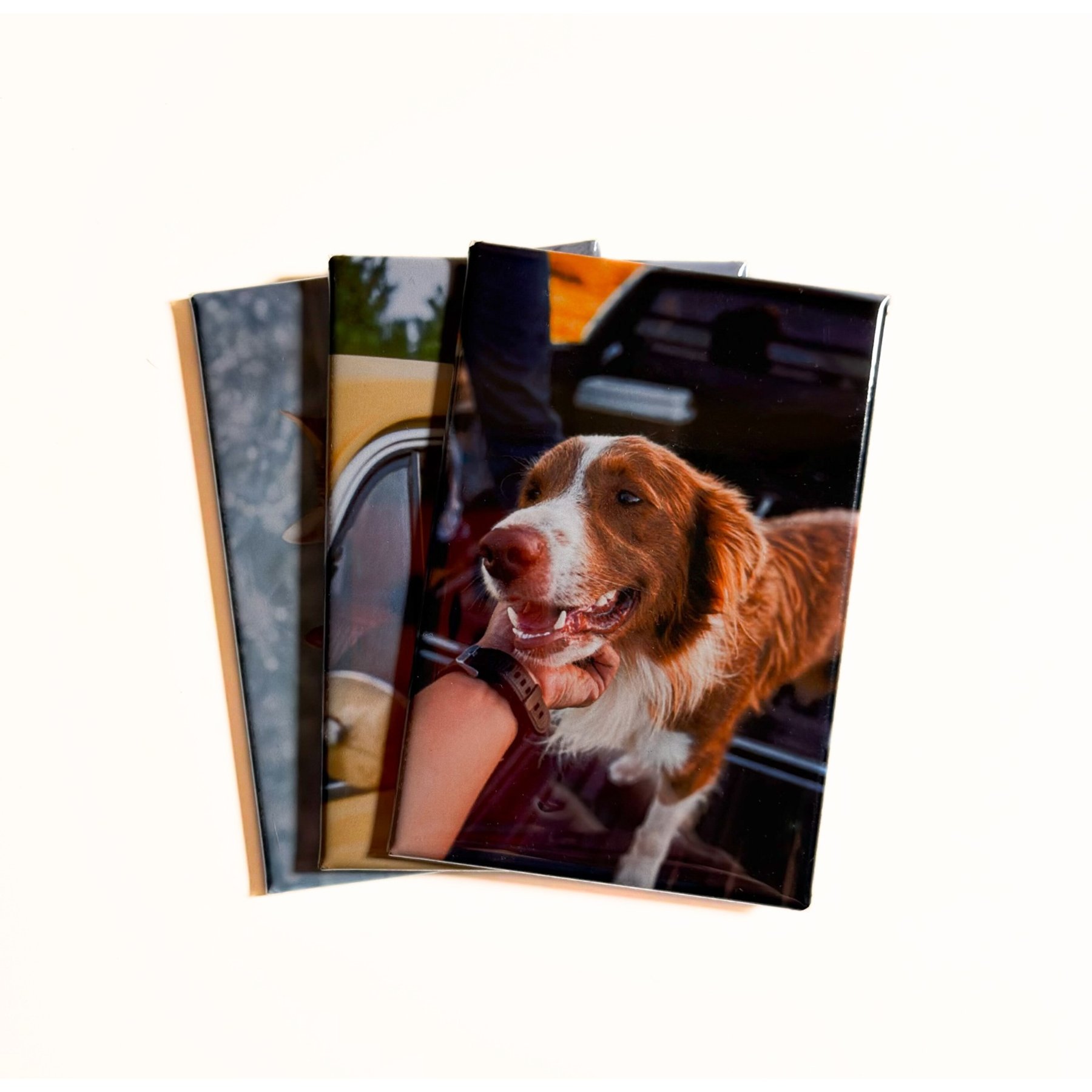 For Keeps 2x3 Custom Photo Magnets, 3 Pack