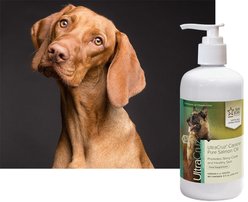 UltraCruz Pure Salmon Oil Dog Supplement, 8-fl oz bottle slide 2 of 3