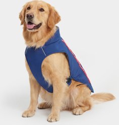 ororo Koldpwoof 4-Zone Heated LED Light Dog Vest, Blue, Large