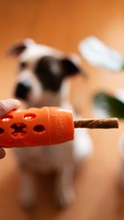 Totally Pooched Stuff'n Chew Rocket Bully Stick Holder Tough Treat Dispenser Dog Toy, 10 x 2.5-in, Orange slide 2 of 5