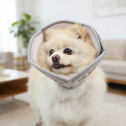 WZ PET Ultra-light Soft Foldable Dog & Cat Recovery Cone Collar, X-Large: 17 to 20-in neck, 11.8-in depth