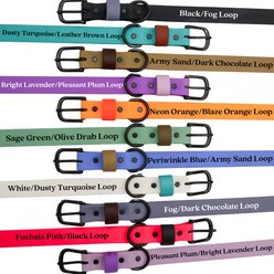 Tailr Waterproof & Odor-Resistant Adjustable Dog Collar, White/Dusty Turquoise Loop, X-Large: 18 to 21-in neck, 1-in wide slide 2 of 8