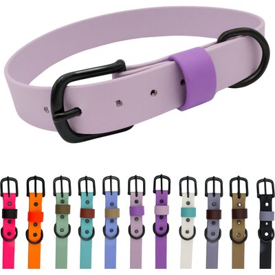 Tailr Tailr Waterproof & Odor-Resistant Adjustable Dog Collar, Pleasant Plum/Bright Lavender Loop, X-Large: 18 to 21-in neck, 1-in wide
