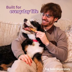 Tailr Waterproof & Odor-Resistant Adjustable Dog Collar, Fuchsia Pink/Black Loop, Large: 15 to 18-in neck, 3/4-in wide slide 2 of 8