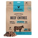 Vital Essentials Freeze-Dried Raw Beef Entree & Mixer Dog Food Crunchy Mini Nibs, 25-oz bag