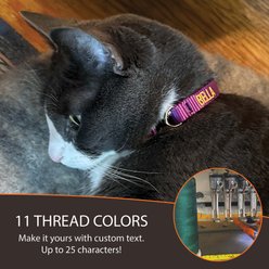 LupinePet Adjustable Eco Buckle Safety Polyester Personalized Breakaway Cat Collar, 8 to 12-in neck, 1/2-in wide, Moss slide 2 of 9
