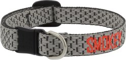 LupinePet Adjustable Eco Buckle Safety Polyester Personalized Breakaway Cat Collar, 8 to 12-in neck, 1/2-in wide, Granite