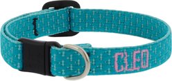 LupinePet Adjustable Eco Buckle Safety Polyester Personalized Breakaway Cat Collar, 8 to 12-in neck, 1/2-in wide, Tropical Sea
