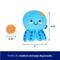 Show in main carousel: Frisco Coastal Octopus 2-in-1 Interactive Plush with TPR Ball Squeaky Dog Toy, Medium/Large slide 2 of 8