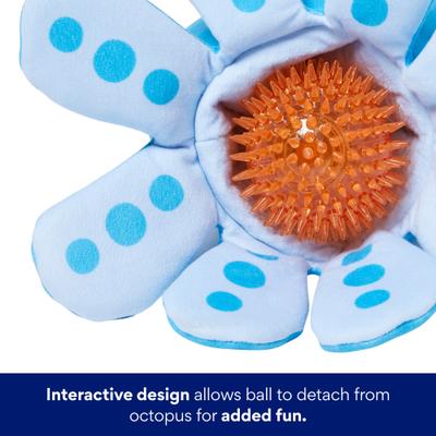 Show full view: Frisco Coastal Octopus 2-in-1 Interactive Plush with TPR Ball Squeaky Dog Toy, Medium/Large slide 3 of 8