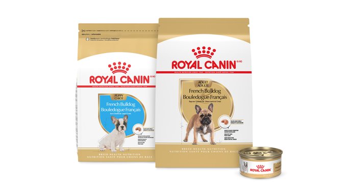 ROYAL CANIN Breed Health Nutrition French Bulldog Loaf in Sauce Wet Dog