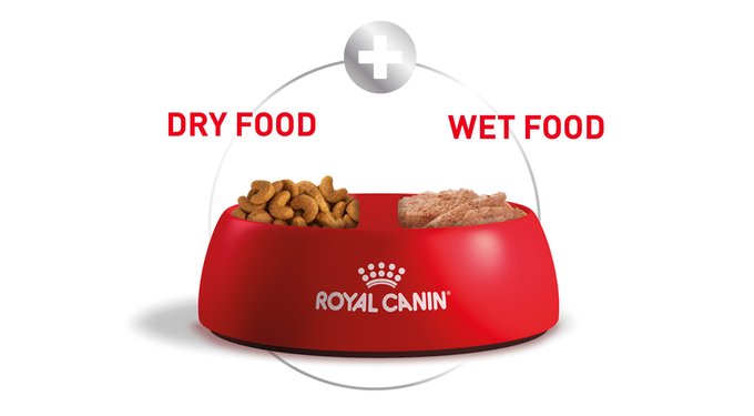 ROYAL CANIN Breed Health Nutrition French Bulldog Loaf in Sauce Wet Dog