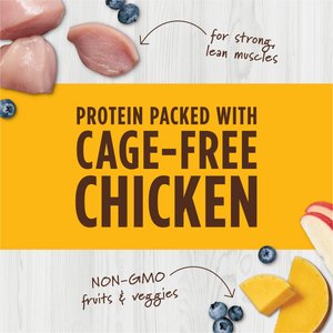 Instinct Raw Boost Mixers Grain-Free Chicken Recipe Freeze-Dried Cat Food Topper, 6-oz bag