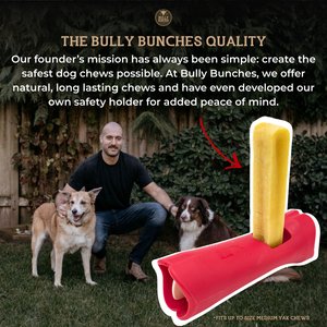 Bully Bunches Flavor Variety Pack Himalayan Yak Chew Dog Treats, Medium, 3 count