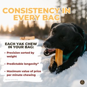 Bully Bunches Flavor Variety Pack Himalayan Yak Chew Dog Treats, Medium, 3 count