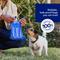 Show in main carousel: Chewy Made Handle Dog Poop Bags (FORMERLY FRISCO), Scented, 120 count slide 6 of 9