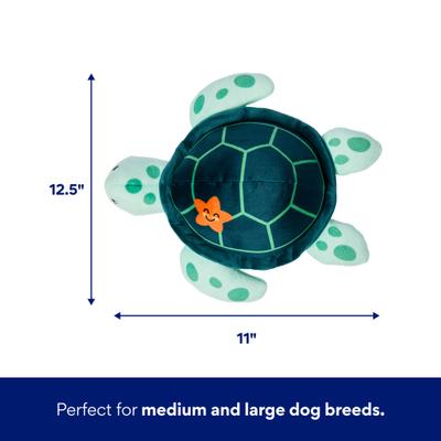 Show full view: Frisco Coastal Turtle Plush Squeaky Dog Toy, Medium/Large slide 2 of 8