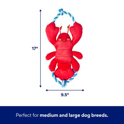 Show full view: Frisco Coastal Lobster Plush with Rope Squeaky Dog Toy, Medium/Large slide 2 of 8