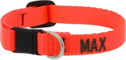 LupinePet Basic Solid Breakaway Buckle Safety Nylon Personalized Cat Collar, Blaze Orange