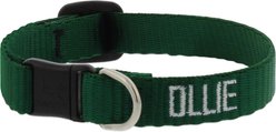 LupinePet Basic Solid Breakaway Buckle Safety Nylon Personalized Cat Collar, Green