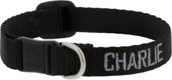 LupinePet Basic Solid Breakaway Buckle Safety Nylon Personalized Cat Collar, Black